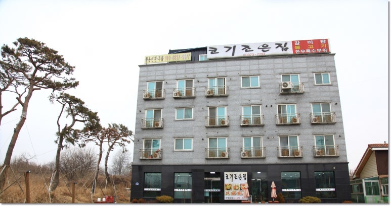 코기조은집 이미지