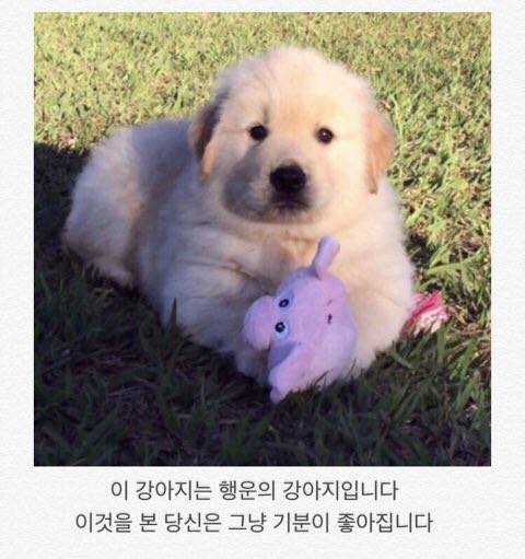 없 음 이미지