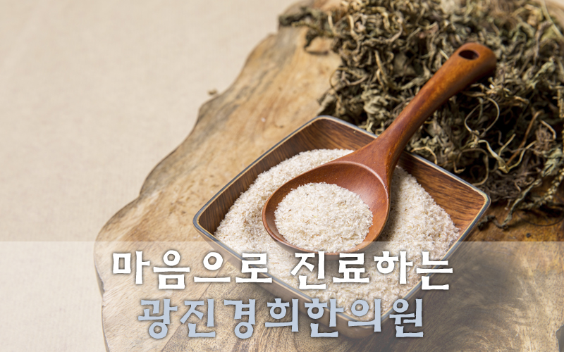 광진기전 이미지