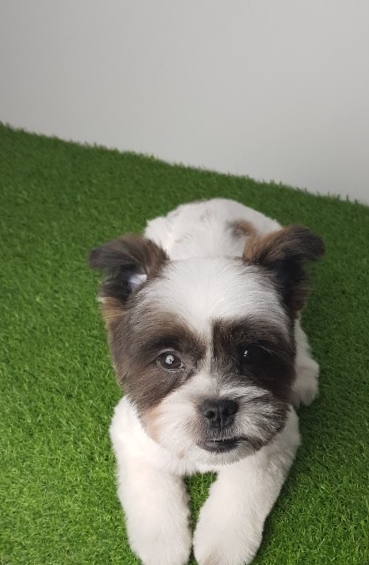 파리바게뜨수원탑동 이미지
