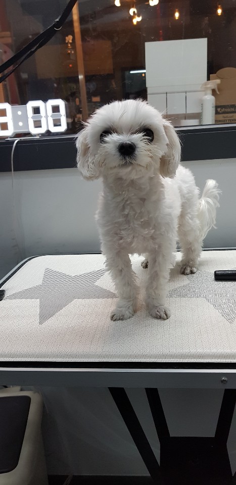 파리바게뜨수원탑동 이미지
