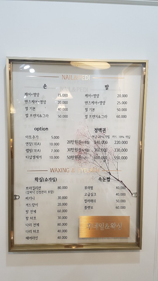 후네일 이미지