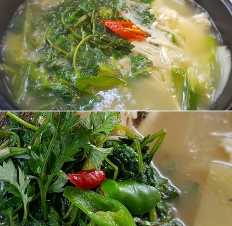 싱싱회예찬 이미지