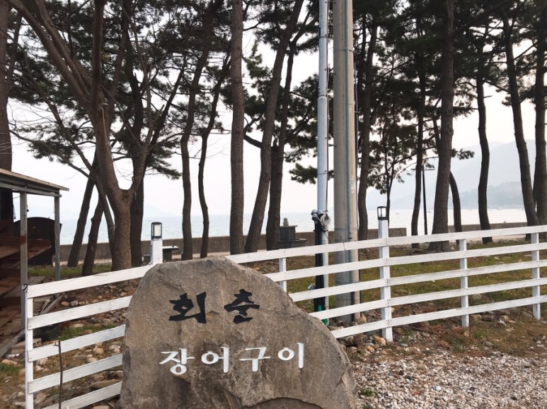 회춘장어구이 이미지