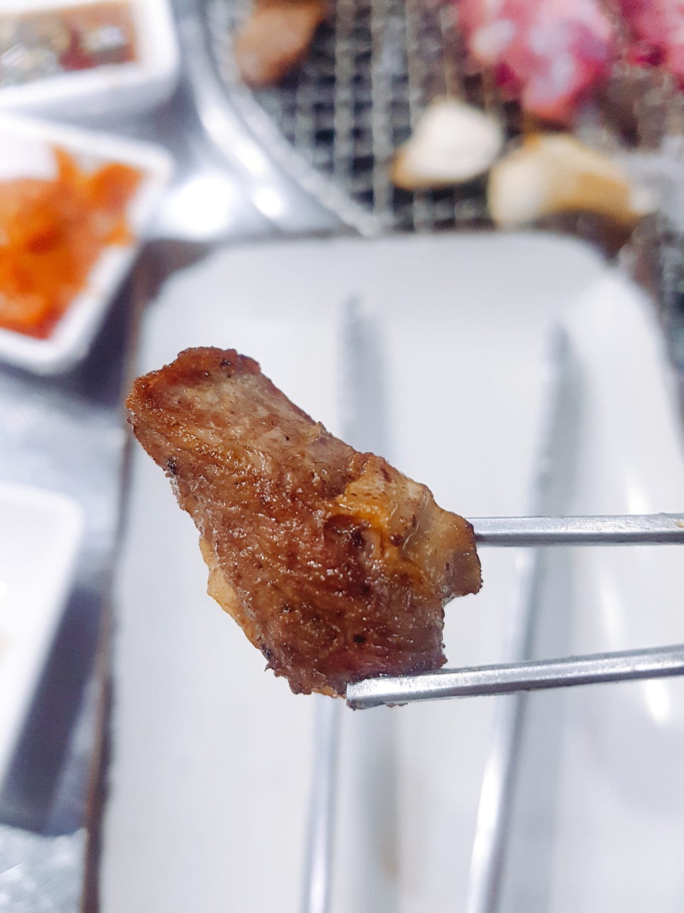 꽃돼지갈매기 이미지