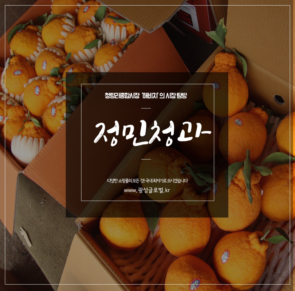 정민상회 이미지