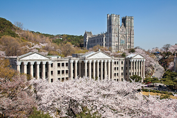 프로젝트엘비스 이미지