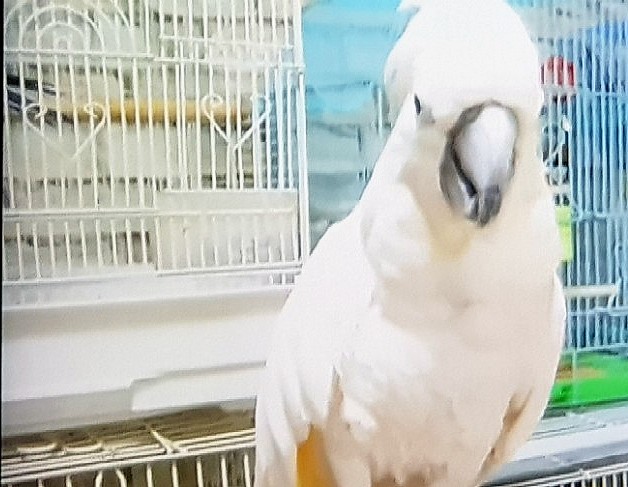 세상스케치 이미지