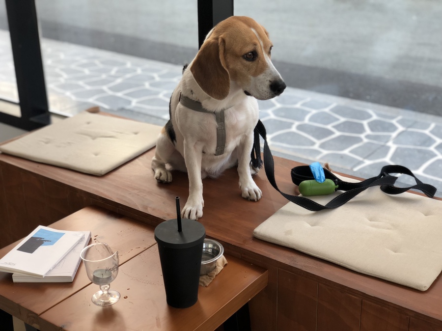옹달샘cafe 이미지