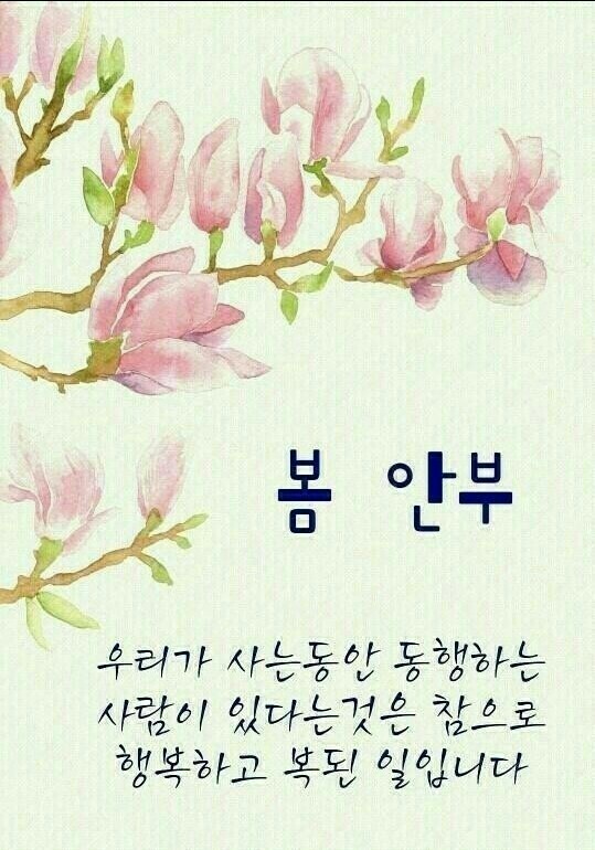 대구입석초등학교 이미지
