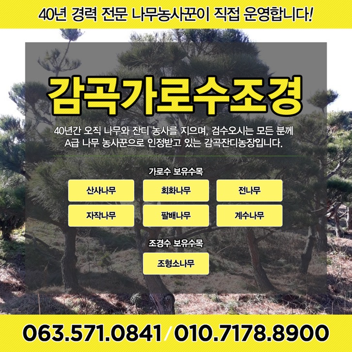 천연숲조경 이미지