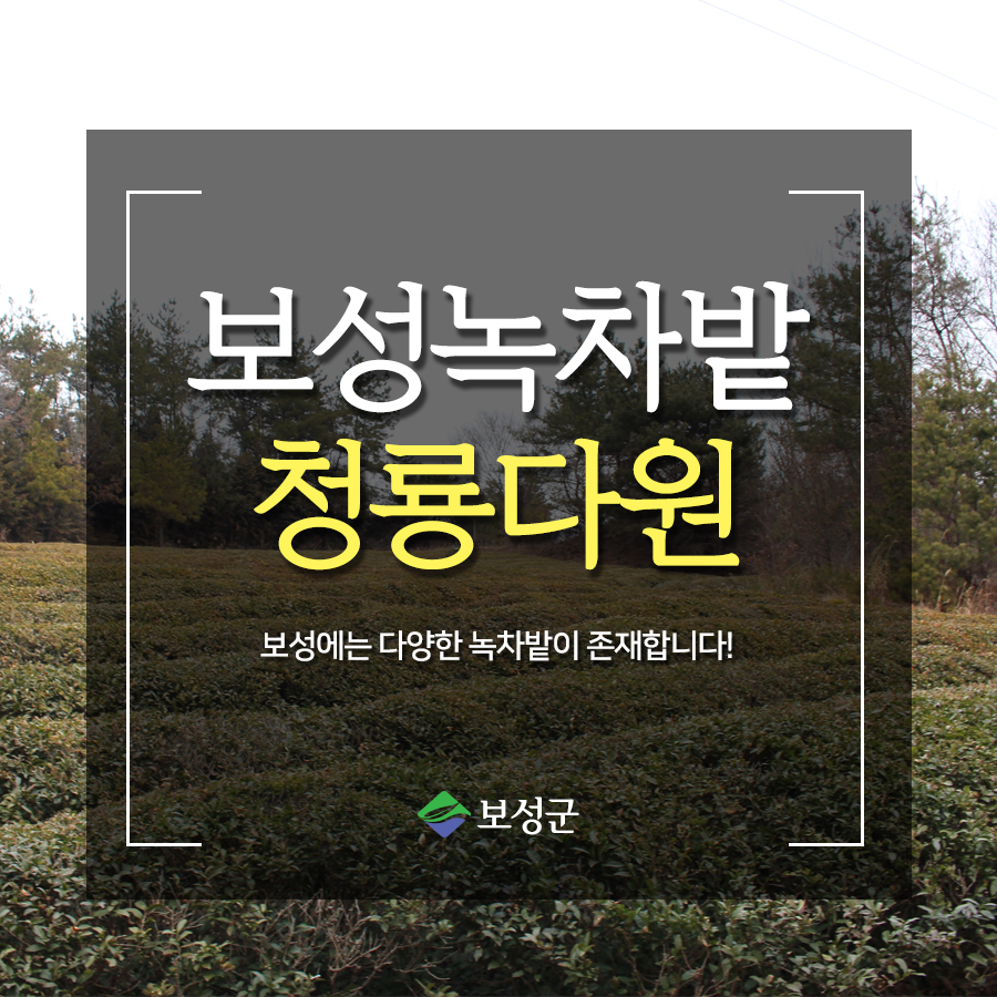 청룡다원 이미지