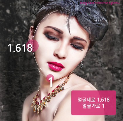 브로우리즈 이미지