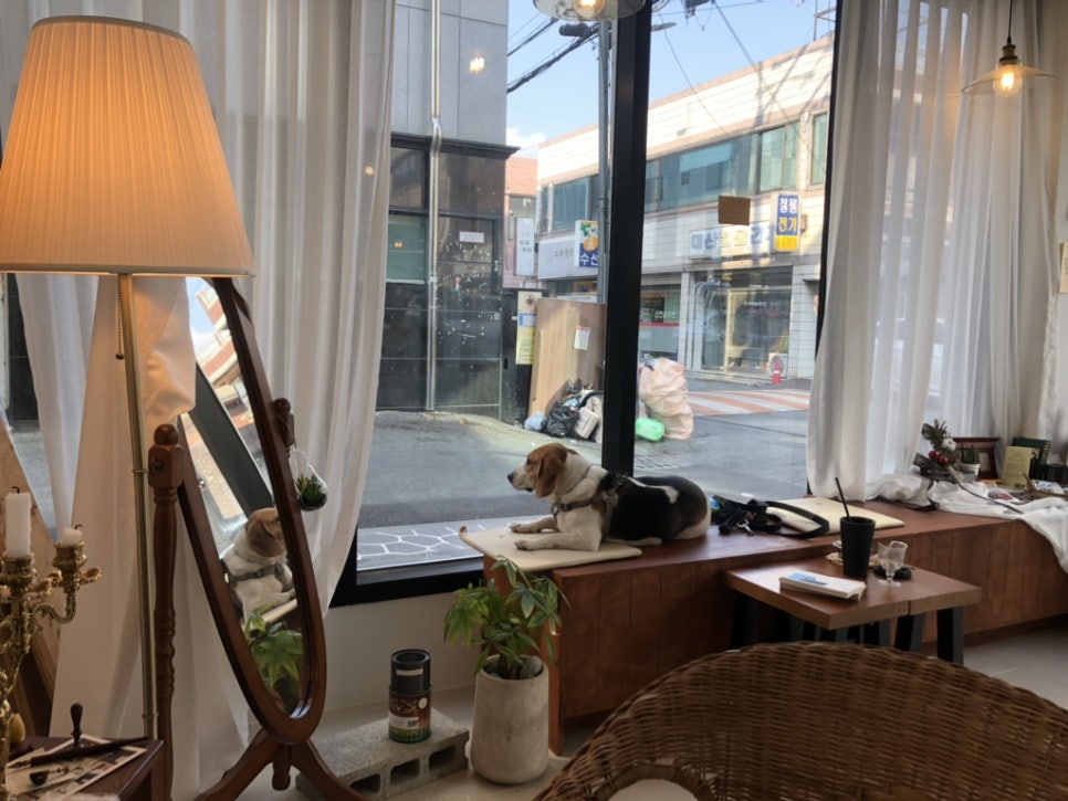 옹달샘cafe 이미지