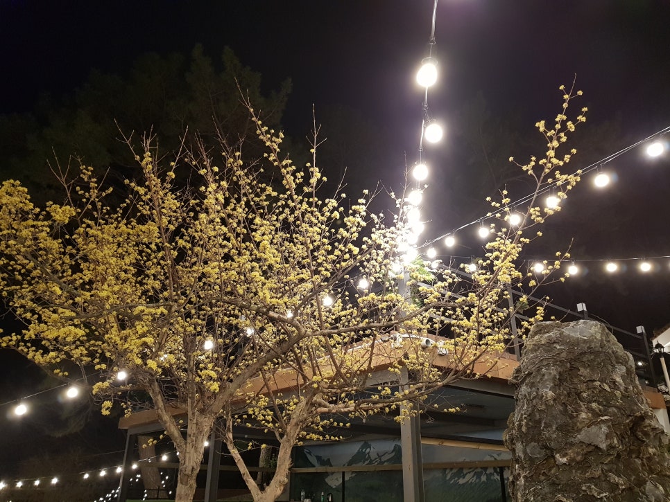도호음악원 이미지