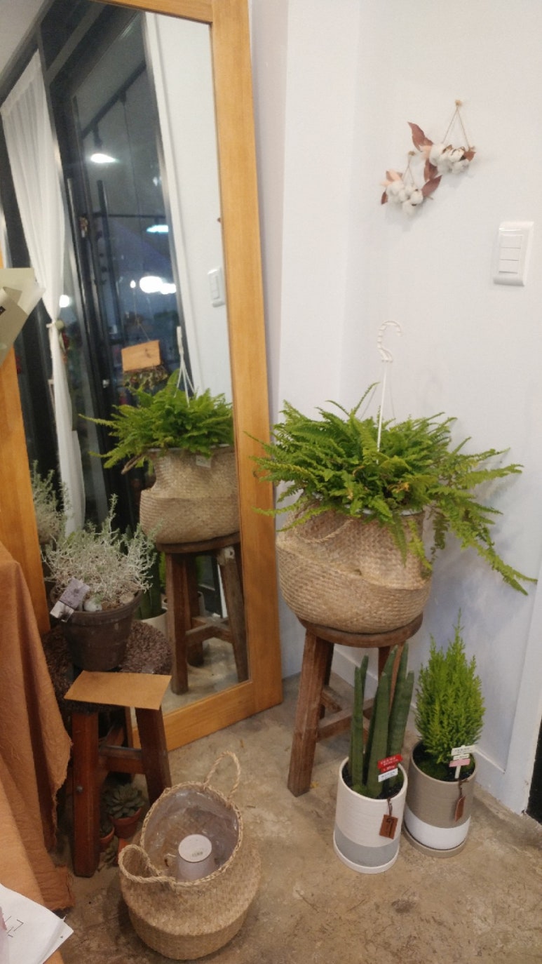 예쁜꽃방 이미지