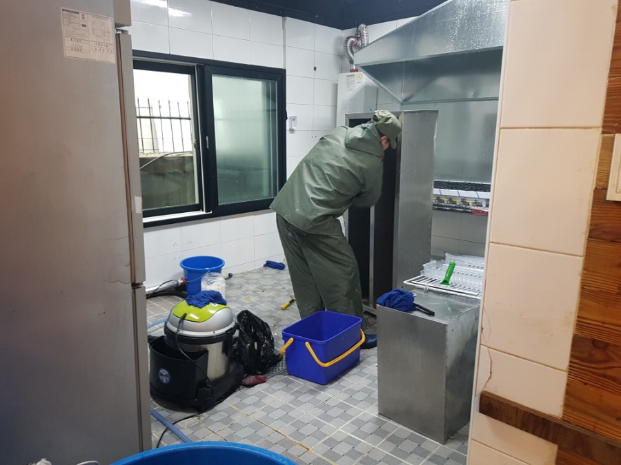 금메달청소나라 이미지