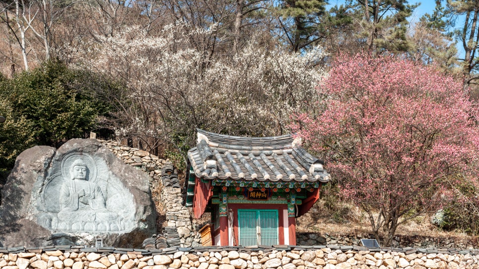 순천기와 이미지
