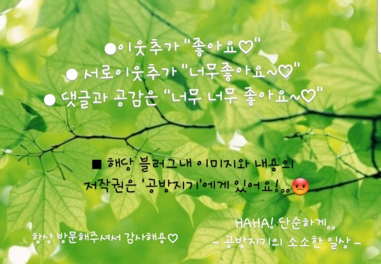 브라더오뎅 이미지