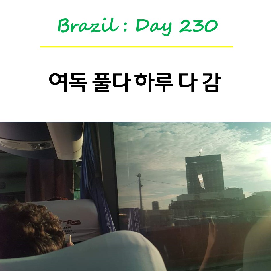 다풀다 이미지