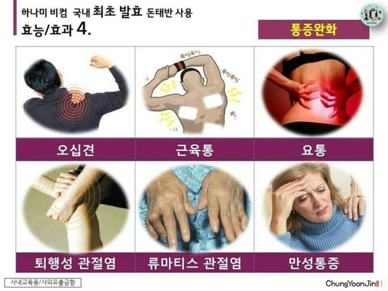 하나미 이미지