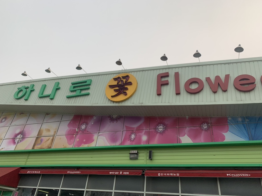 일산플라워화분마트 이미지