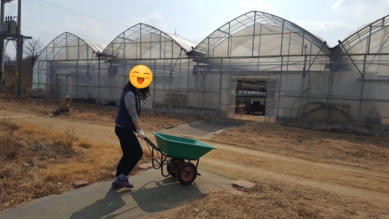상임농원 이미지