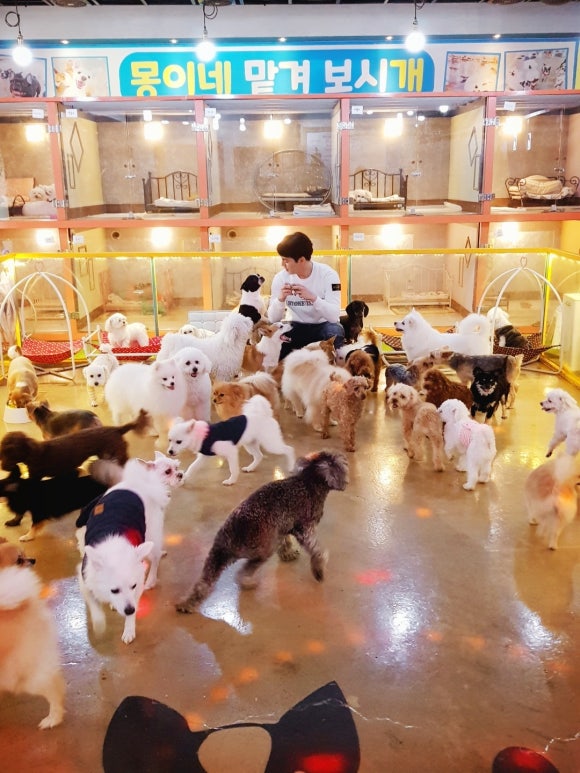몽이네일 이미지