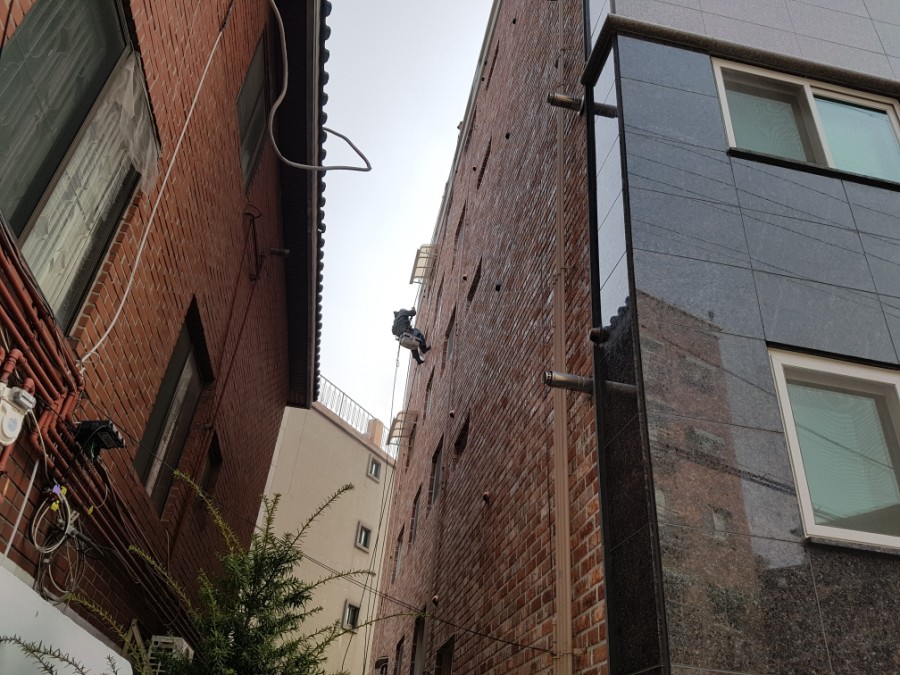 금메달청소나라 이미지