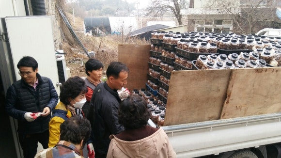 피움농장 이미지