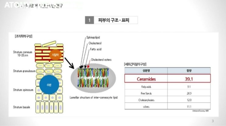 더케어시스템 이미지