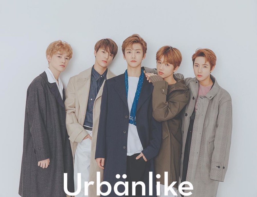 드림라이크 이미지