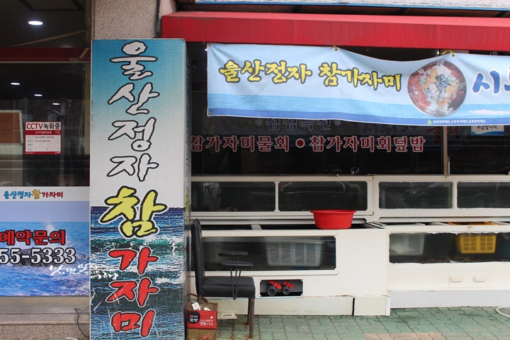 울산정자참가자미 이미지