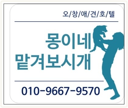 몽이네일 이미지