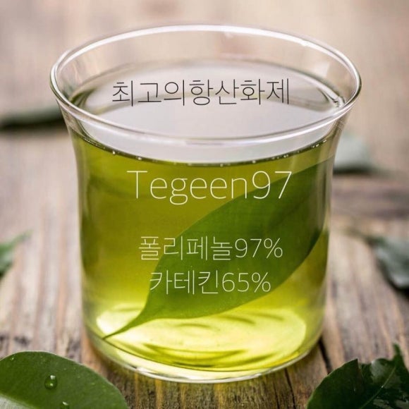 티그린 이미지