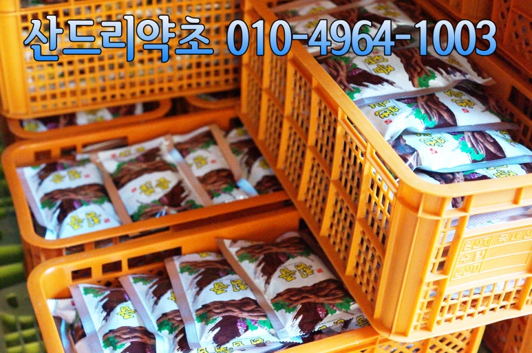 산드리약초 이미지
