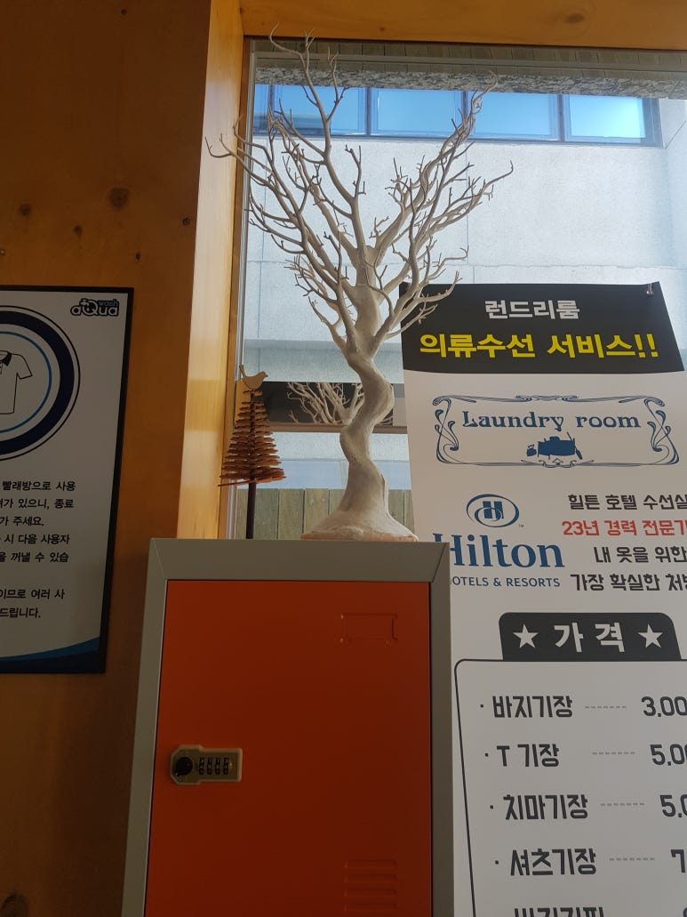 아쿠아워시파주점 이미지