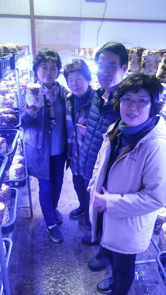 피움농장 이미지