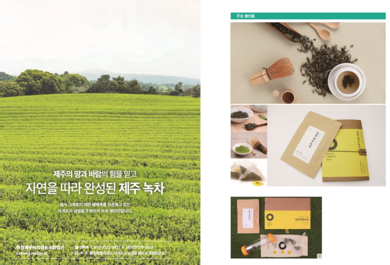 청정제주녹차 영농조합법인 이미지