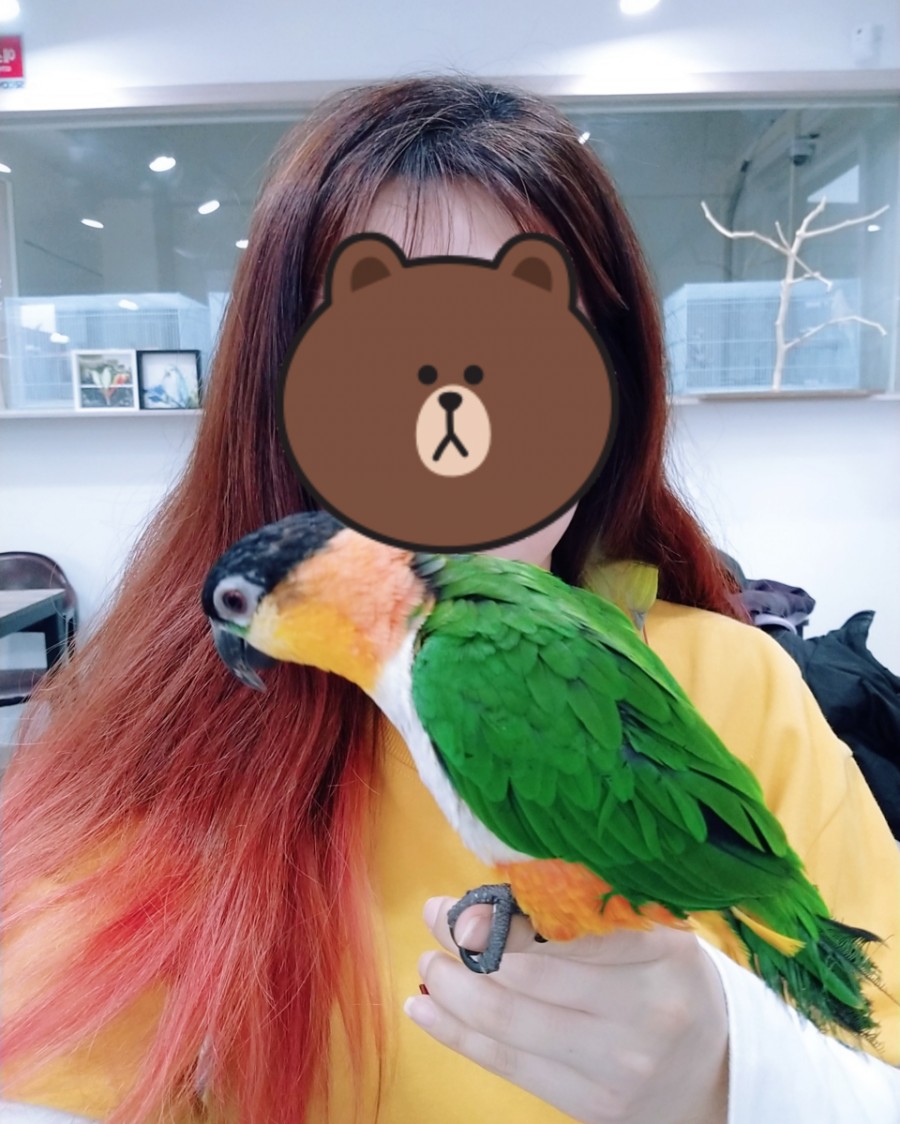 버드아뜰리에 이미지