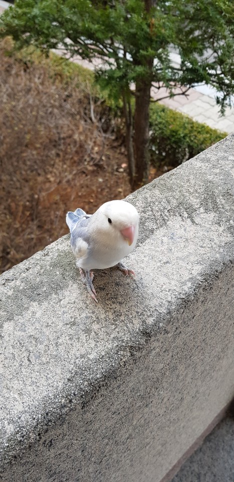 모란공작소 이미지