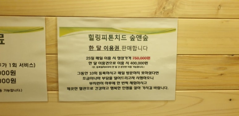 숲엔숲 이미지