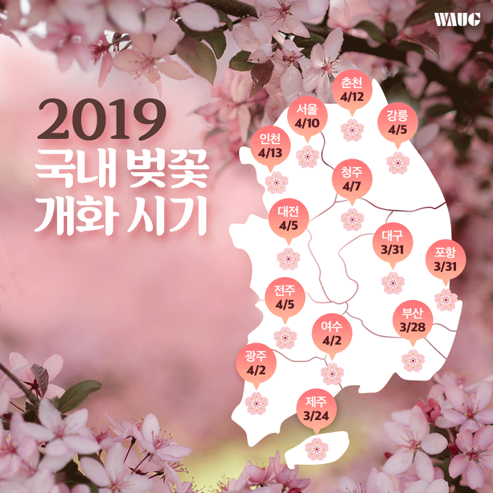 잉크와오피스부산 이미지