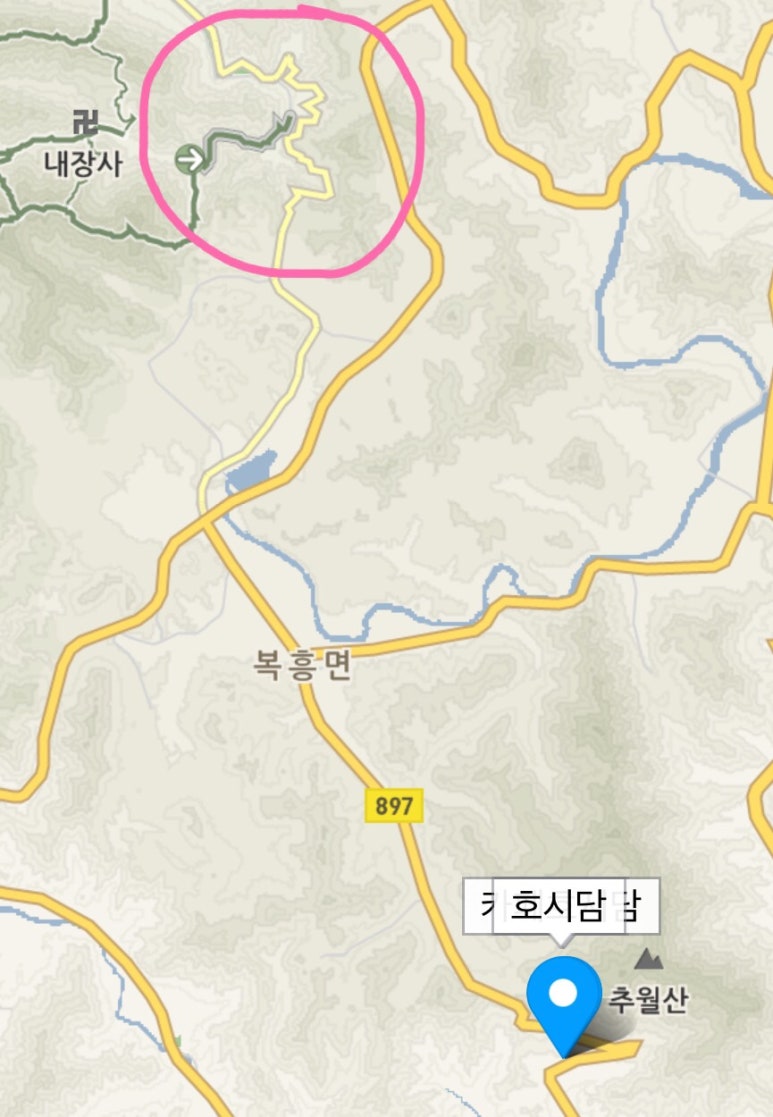 비오스도터 이미지