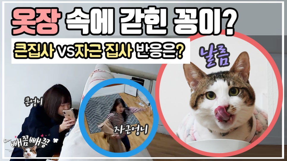 꽁이옷장 이미지