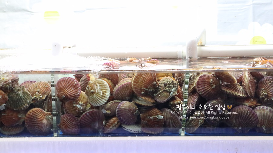 우정수산 이미지