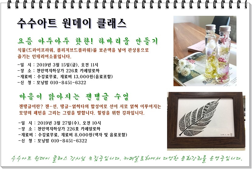 알로하클래스 이미지