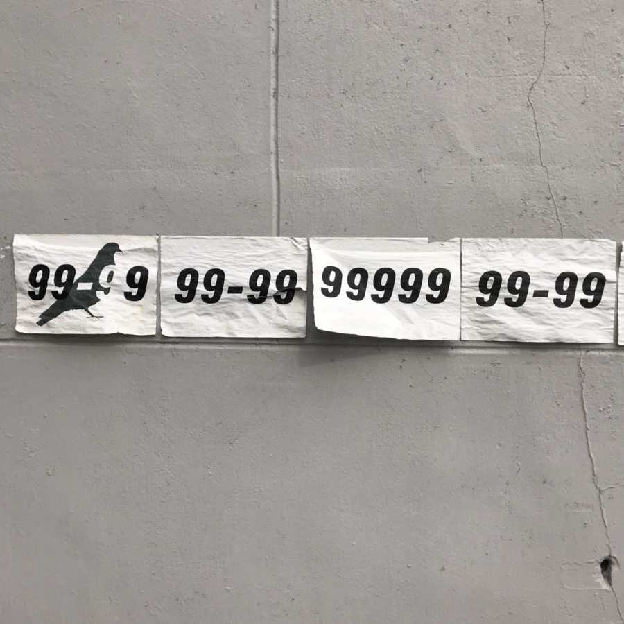 비둘기는멍청해보여 이미지
