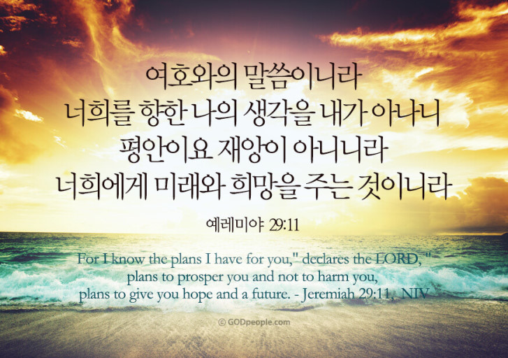스마트종합시멘트 이미지