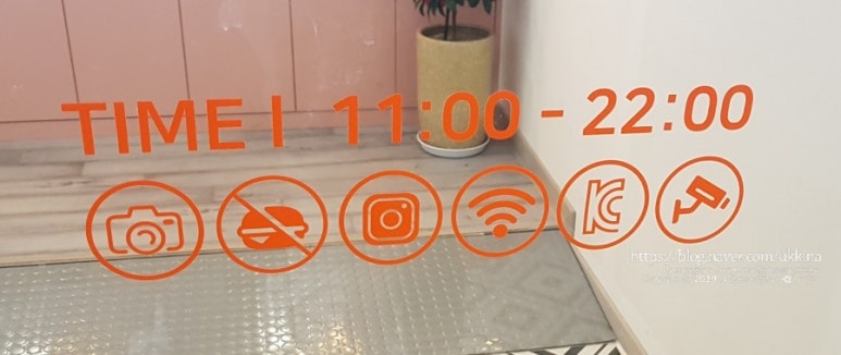 슬라임코코 이미지